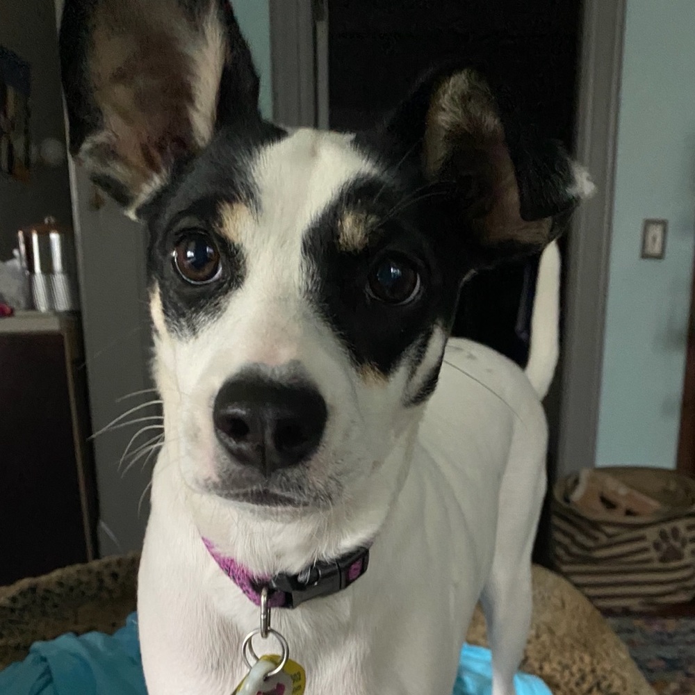 Meet your Posher, Beth